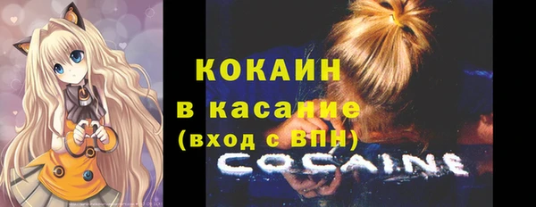 сатива Арсеньев