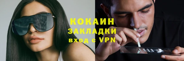 сатива Арсеньев