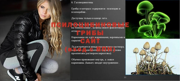 сатива Арсеньев