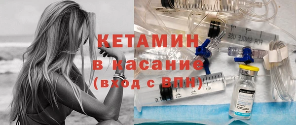 сатива Арсеньев
