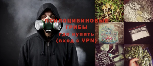 сатива Арсеньев
