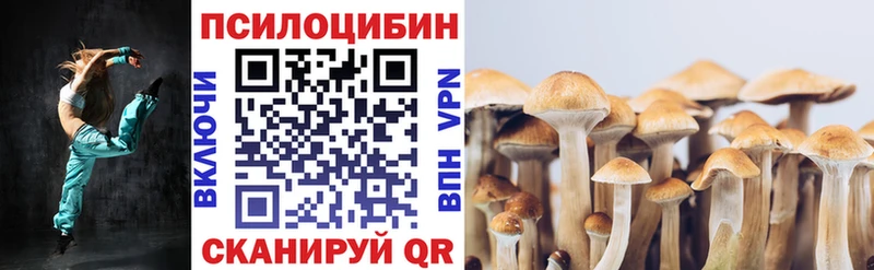 Псилоцибиновые грибы MAGIC MUSHROOMS  Никольское 